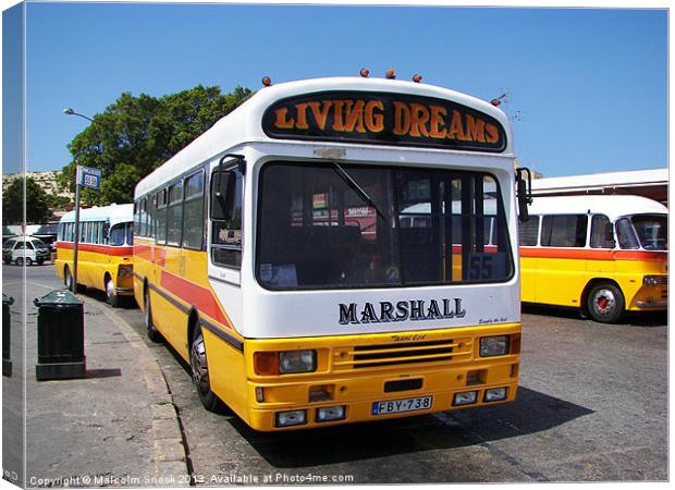 Classic Maltese Buses Canvas Print by Malcolm Snook