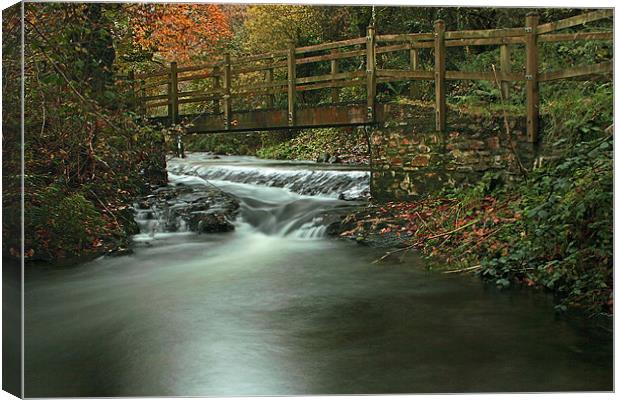 Footbridge Over Pool In Autumn Canvas Print by Dave Bell