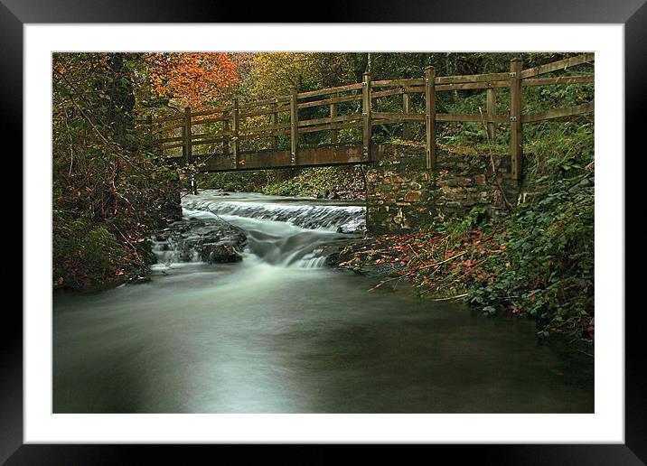 Footbridge Over Pool In Autumn Framed Mounted Print by Dave Bell