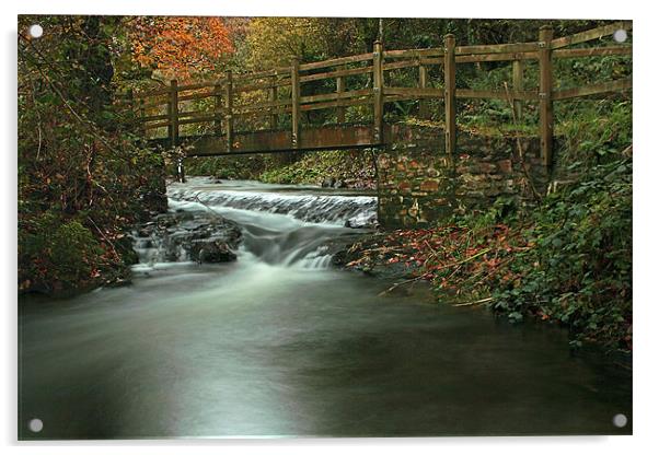 Footbridge Over Pool In Autumn Acrylic by Dave Bell