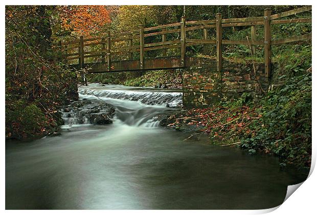 Footbridge Over Pool In Autumn Print by Dave Bell