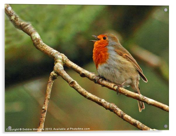 Having a sing song Acrylic by Debbie Metcalfe