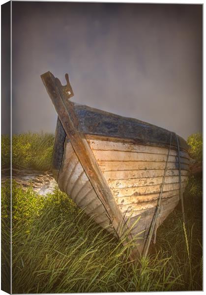 Laid Up Canvas Print by Mike Sherman Photog