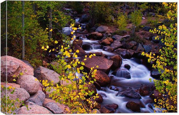 Colors Of Geneva Creek Canvas Print by John De Bord