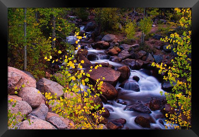 Colors Of Geneva Creek Framed Print by John De Bord