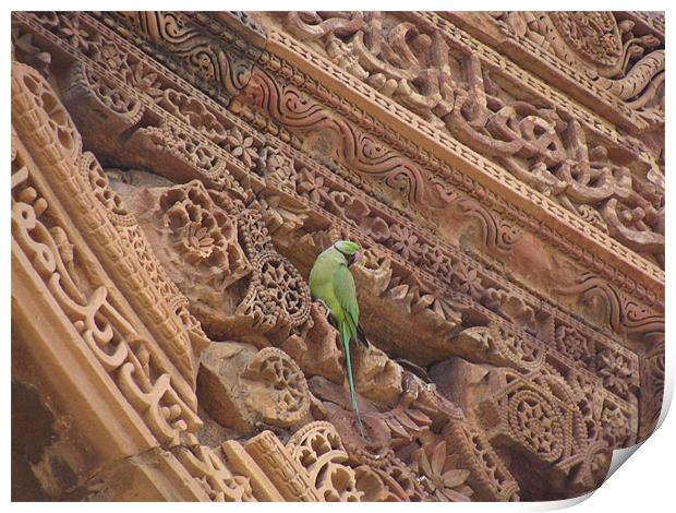 A parrot on top of a beautiful monument  Print by Ankit Mahindroo
