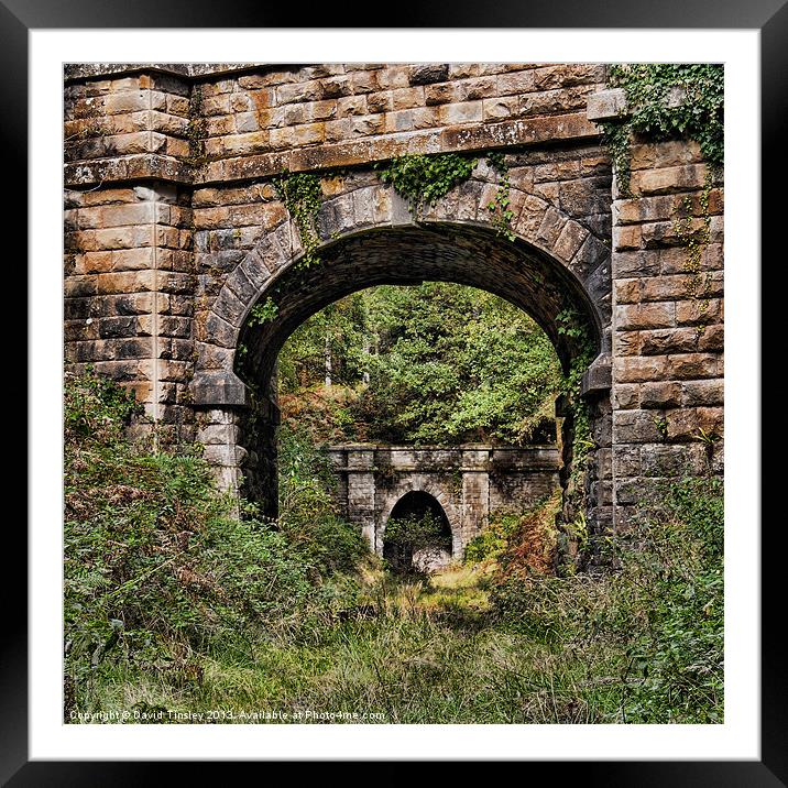 Mierystock Bridge and Tunnel Framed Mounted Print by David Tinsley