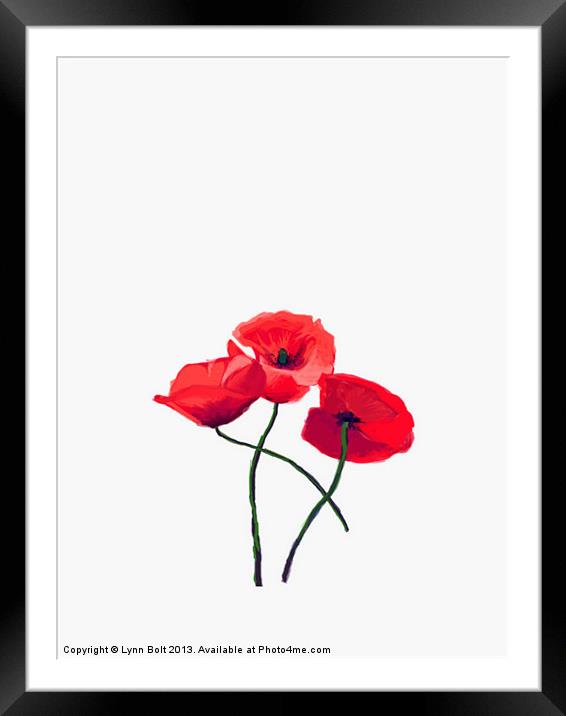 Three Poppies on White Framed Mounted Print by Lynn Bolt