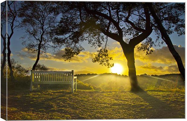 Lickey End Sunset Canvas Print by Oliver Walton