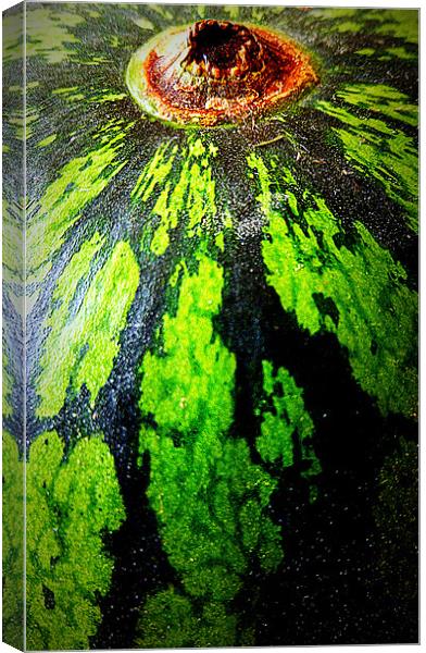watermelon-ah! Canvas Print by dale rys (LP)