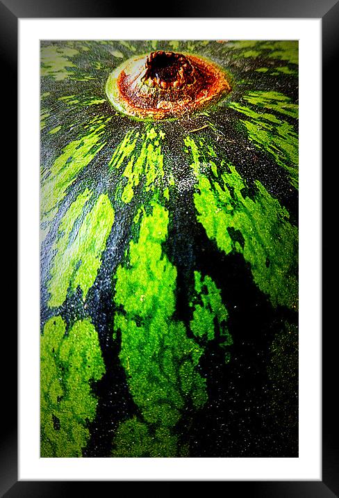 watermelon-ah! Framed Mounted Print by dale rys (LP)