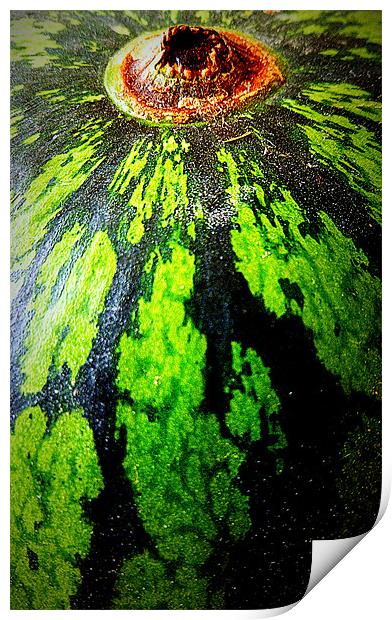 watermelon-ah! Print by dale rys (LP)