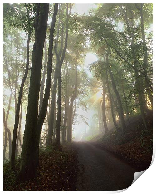 Foggy Lane Near Castleton Print by Darren Galpin