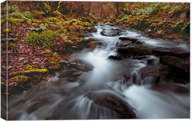 Sureal Glen and Swollen Stream Canvas Print by Dave Bell