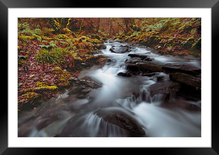 Sureal Glen and Swollen Stream Framed Mounted Print by Dave Bell