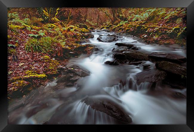 Sureal Glen and Swollen Stream Framed Print by Dave Bell