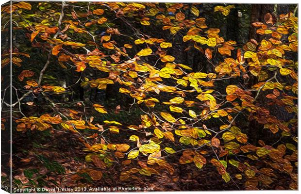 Autumn Leaves Canvas Print by David Tinsley