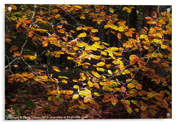 Autumn Leaves Acrylic by David Tinsley