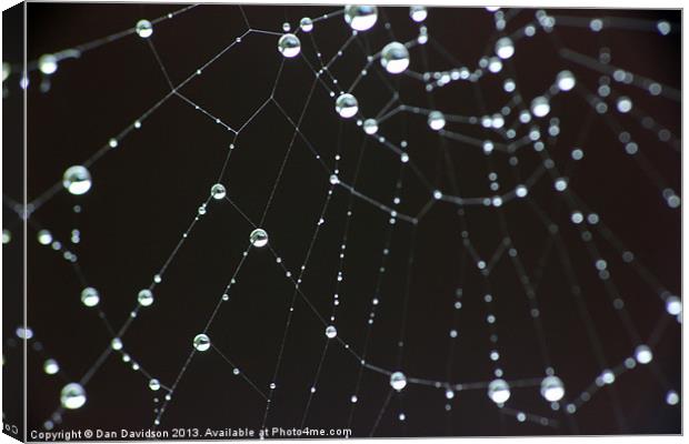 spider web bokeh Canvas Print by Dan Davidson