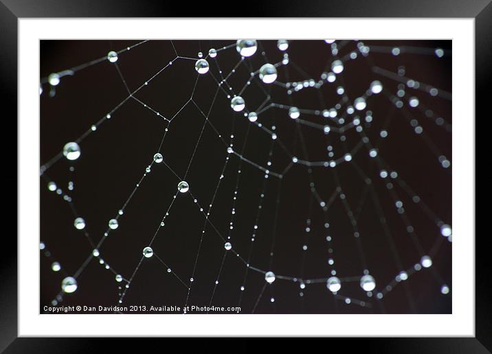 spider web bokeh Framed Mounted Print by Dan Davidson