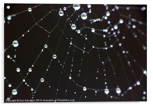 spider web bokeh Acrylic by Dan Davidson