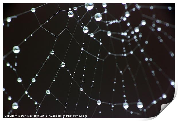 spider web bokeh Print by Dan Davidson