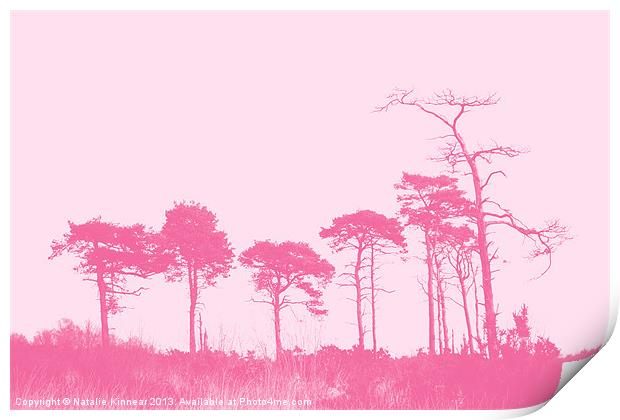 Forest Trees in Pink Print by Natalie Kinnear