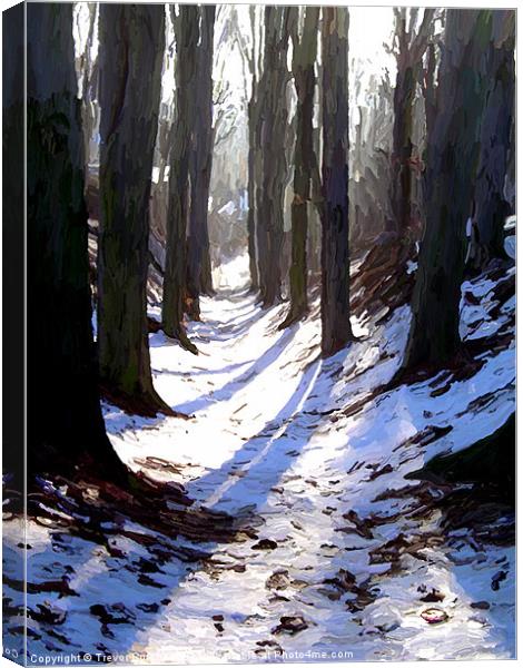 Winter Trees Canvas Print by Trevor Butcher