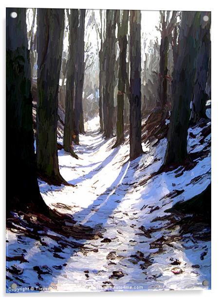 Winter Trees Acrylic by Trevor Butcher