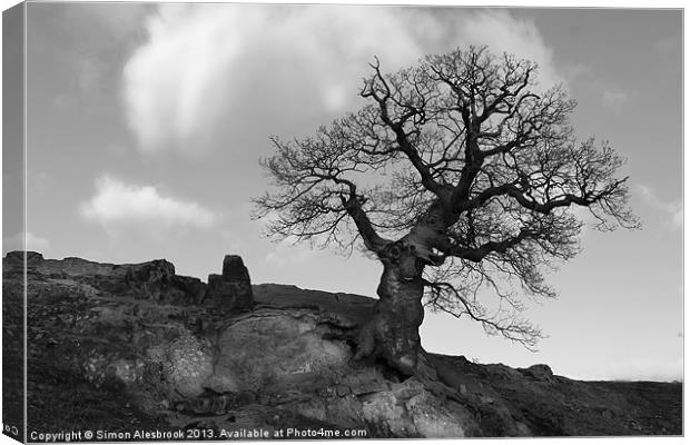 Lone tree on rocky outcrop Canvas Print by Simon Alesbrook