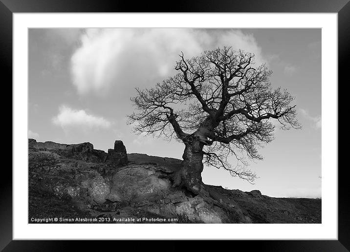 Lone tree on rocky outcrop Framed Mounted Print by Simon Alesbrook