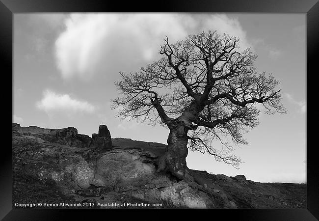 Lone tree on rocky outcrop Framed Print by Simon Alesbrook