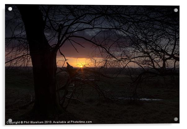 Badbury Rings Sunrise Acrylic by Phil Wareham
