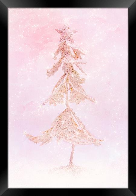 Ice Tree Framed Print by Ann Garrett