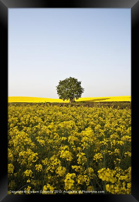 Yellow Framed Print by Graham Custance