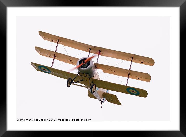 Sopwith Tri-plane Framed Mounted Print by Nigel Bangert