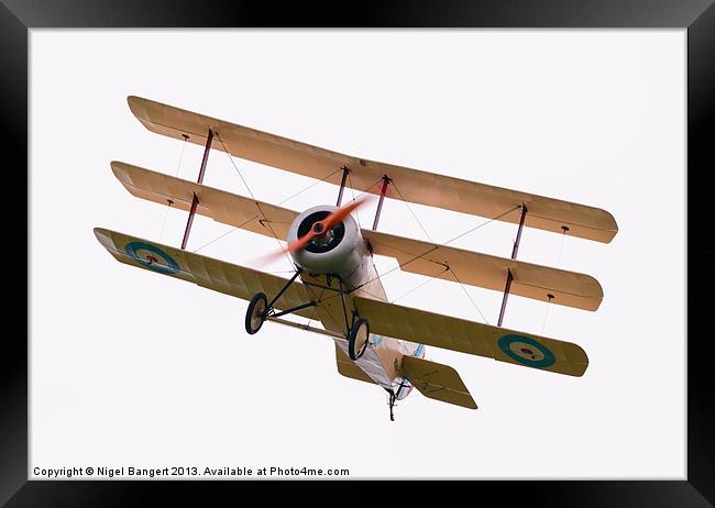 Sopwith Tri-plane Framed Print by Nigel Bangert