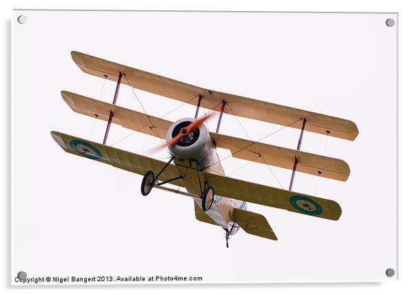 Sopwith Tri-plane Acrylic by Nigel Bangert