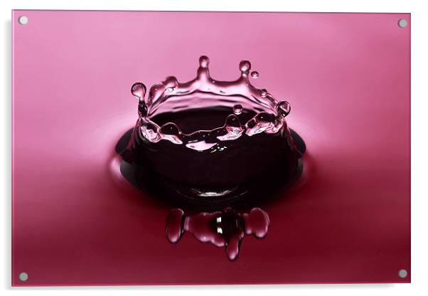 Pink Water Crown Acrylic by Paul Shears Photogr
