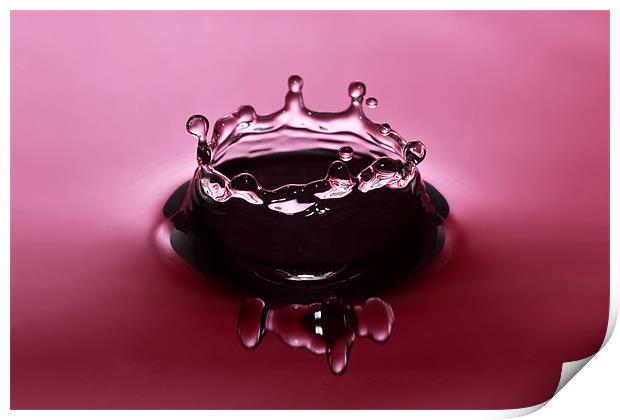Pink Water Crown Print by Paul Shears Photogr