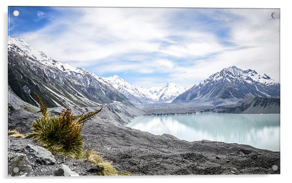 Abel Tasman Glacier  New Zealand Acrylic by Michelle PREVOT