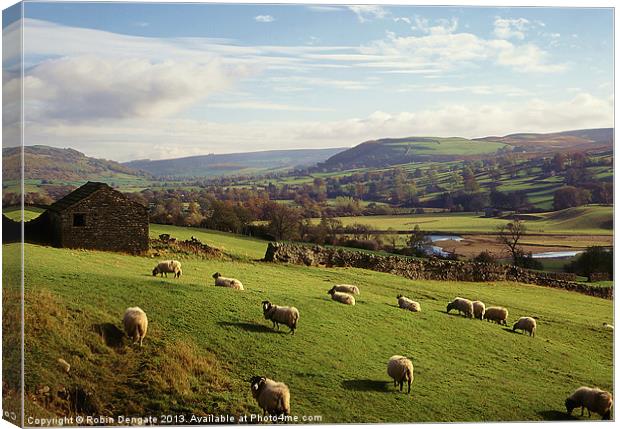 Swaledale, near Reeth, North Yorkshire Canvas Print by Robin Dengate