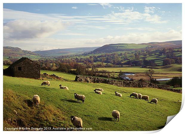 Swaledale, near Reeth, North Yorkshire Print by Robin Dengate