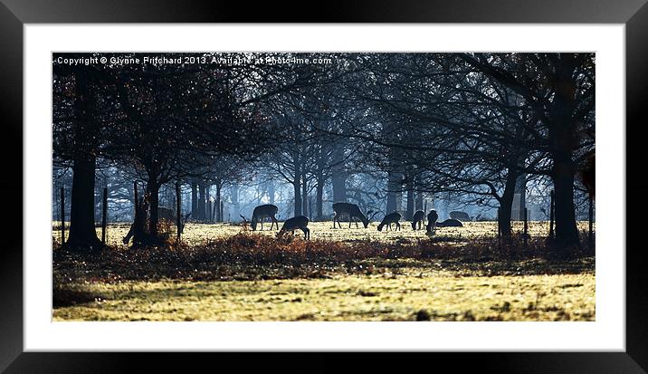 Summer Grazing Framed Mounted Print by Glynne Pritchard
