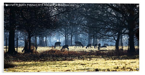 Summer Grazing Acrylic by Glynne Pritchard