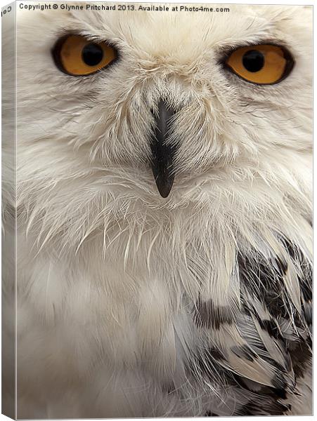 You Looking at me? Canvas Print by Glynne Pritchard