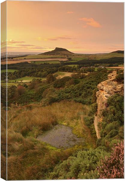 Roseberry Topping Canvas Print by Cheryl Quine