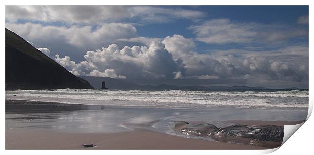 Kinard beach Print by barbara walsh