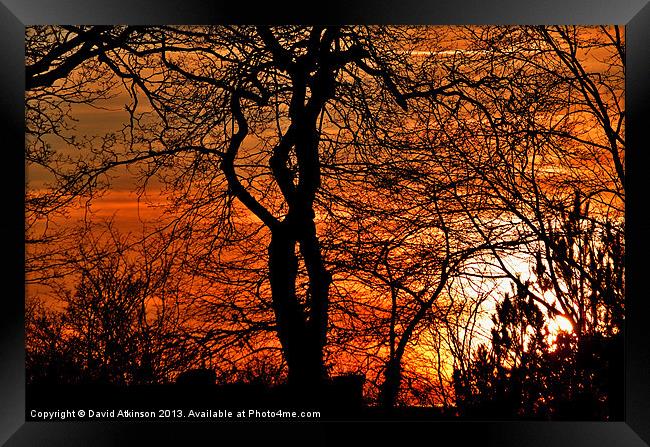 INTERTWINED SUNSET Framed Print by David Atkinson