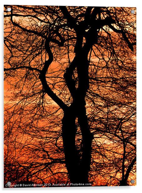 TREE LOVERS Acrylic by David Atkinson